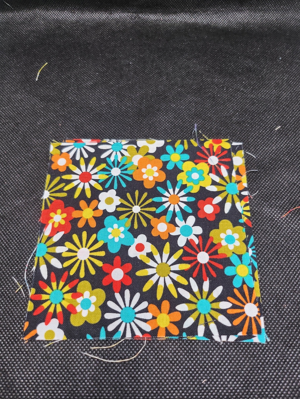 Black Floral Cotton Fabric Swatch - Multicolor Daisy Print